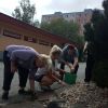 Letné skrášlenie okolia - 10_zmensena