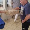 Koľko lásky sa zmestí do krabice od topánok - 12_zmensena