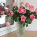 m_DSCN0073