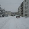 Snehová kalamita 02/2012 - M imgp1927