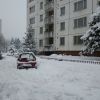 Snehová kalamita 02/2012 - M imgp1954