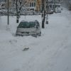 Snehová kalamita 02/2012 - M imgp1983