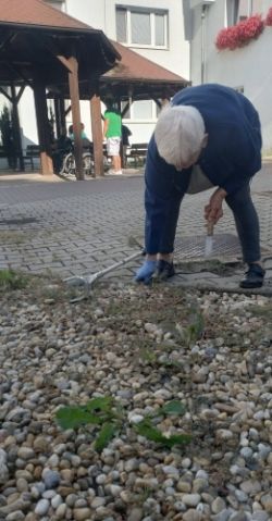 794398538 1634417928234326 650945296121431279 n zmensena