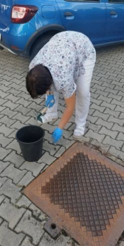 795557670 1634418968234222 4910616559828821597 n zmensena