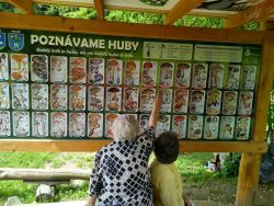 Aktivity za mesiac august v našom altánku - 230871642_360001469009318_3106378089735057589_n