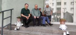 Maľovane kamene - 13_zmensena