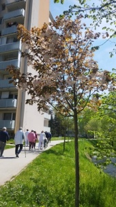 Prechádzka za palacinkami - 14_zmensena