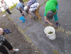 Veľký upratovací deň - IMG_20210512_093630605