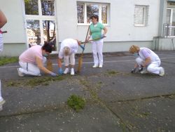 Veľký upratovací deň - IMG_20210512_094938482