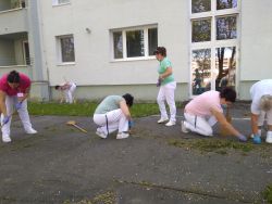 Veľký upratovací deň - IMG_20210512_094945358