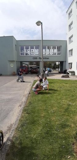 m_95175432_119357313073736_3302224178630885376_o
