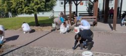 Jarná brigáda - 11_zmensena