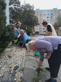 Letné skrášlenie okolia - 12_zmensena