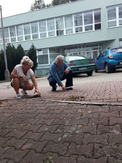 Letné skrášlenie okolia - 8_zmensena