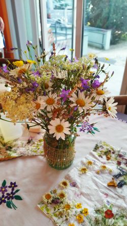 IMG_20220607_084626
