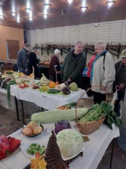 1. ročník výstavy "plody považia" - 125_zmensena