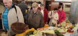 1. ročník výstavy "plody považia" - 134_zmensena