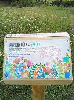 Prechádzka do "prírodnej lúky-krása" - 15