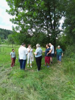 Prechádzka do "prírodnej lúky-krása" - 3