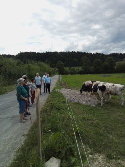 Prechádzka do "prírodnej lúky-krása" - 4