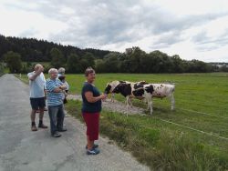 Prechádzka do "prírodnej lúky-krása" - 5