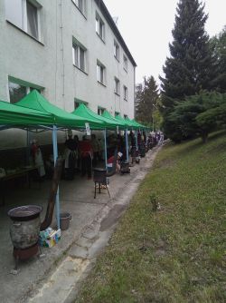IMG_20220525_093129_236
