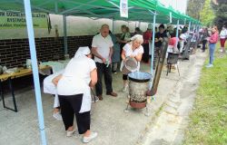 IMG_20220525_094436_396~2