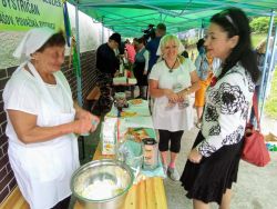 IMG_20220525_095512_949~2