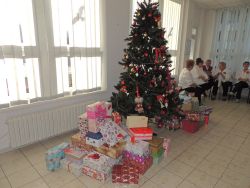 m_DSCN1314