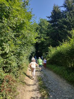 Vychádzka do blízkeho lesa - 7