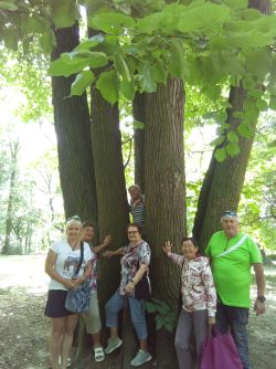 IMG_20220621_124846_854