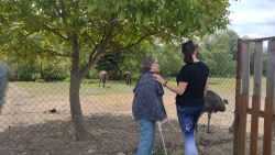 IMG_20220531_105906