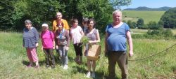 Zber kvetov a liečivých rastlín - 8_zmensena
