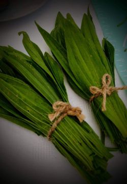 Zdravý skorocelový sirup - ss1