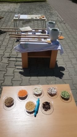 Beseda o strukovinách - 1_zmensena