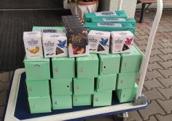 IMG_20220609_115846