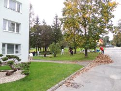 Hrabanie lístia 