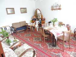 m_DSCN5269