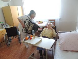 m_DSCN0258