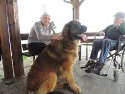m_DSCN9778