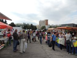 Považskobystrický jarmok 2014 - 11