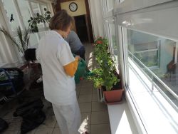 m_DSCN9517