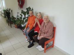 m_DSCN1934