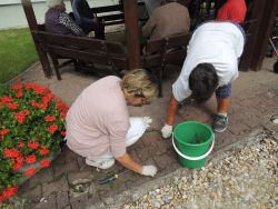 m_DSCN5796