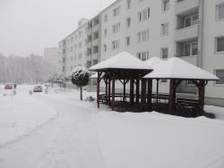 Na zimu sme čakali až do 5. 1. 2015 - 03