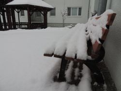 Na zimu sme čakali až do 5. 1. 2015 - 04
