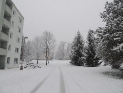 Na zimu sme čakali až do 5. 1. 2015 - 05