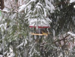 Na zimu sme čakali až do 5. 1. 2015 - 08