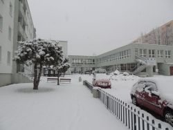 Na zimu sme čakali až do 5. 1. 2015 - 10