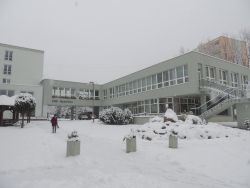 Na zimu sme čakali až do 5. 1. 2015 - 11
